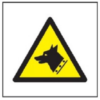 Znak ostrzeżenie przed złym psem na płycie zwykłej 