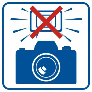 Znak Zakaz fotografowania z użyciem lamp błyskowych na Folii Samoprzylepnej (RA504)